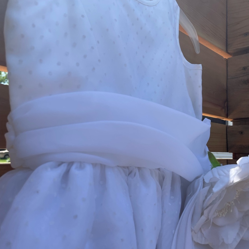 The Ladybug Collection Special Occasion dress size 7
